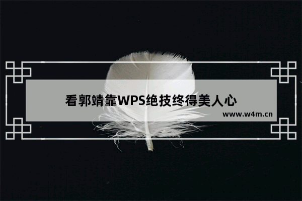 看郭靖靠WPS绝技终得美人心