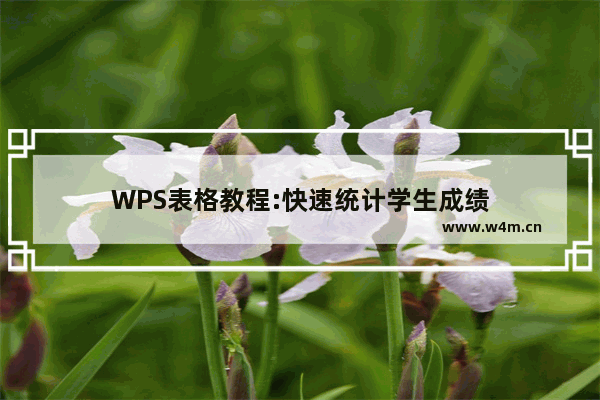 WPS表格教程:快速统计学生成绩