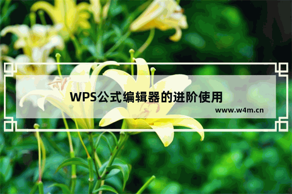 WPS公式编辑器的进阶使用