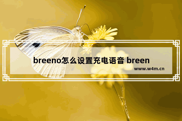 breeno怎么设置充电语音 breeno充电提示音怎么设置