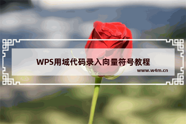 WPS用域代码录入向量符号教程