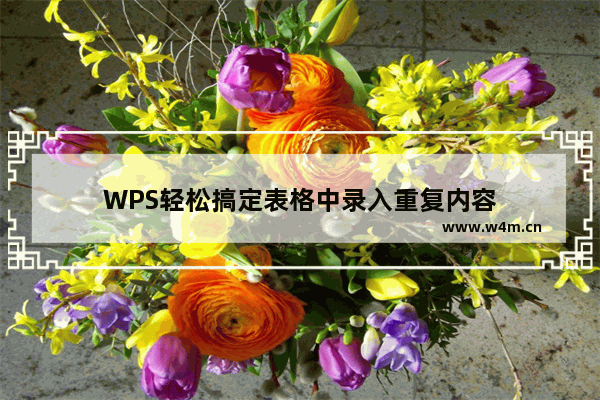 WPS轻松搞定表格中录入重复内容