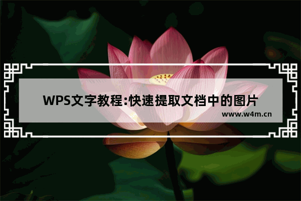 WPS文字教程:快速提取文档中的图片