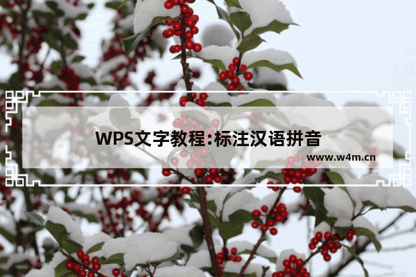 WPS文字教程:标注汉语拼音