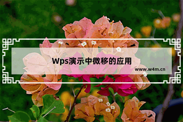 Wps演示中微移的应用