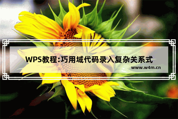 WPS教程:巧用域代码录入复杂关系式