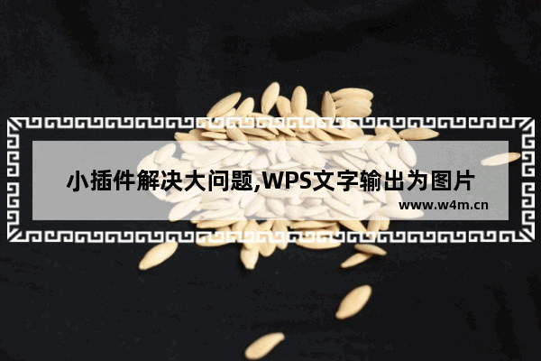 小插件解决大问题,WPS文字输出为图片