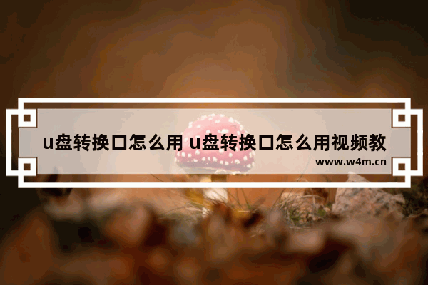 u盘转换口怎么用 u盘转换口怎么用视频教程