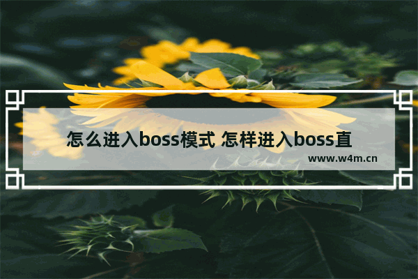 怎么进入boss模式 怎样进入boss直界面