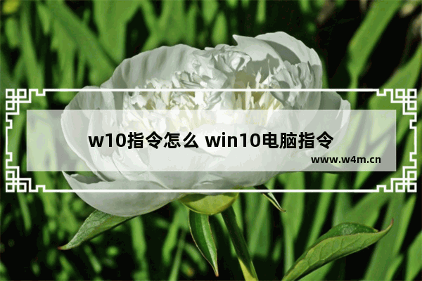 w10指令怎么 win10电脑指令