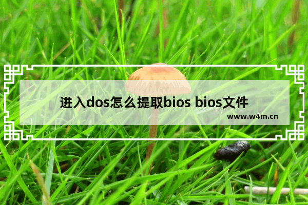 进入dos怎么提取bios bios文件exe提取bin