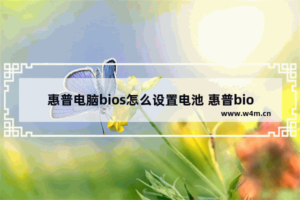 惠普电脑bios怎么设置电池 惠普bios怎么设置电池保护模式