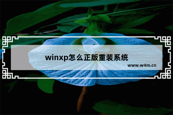 winxp怎么正版重装系统