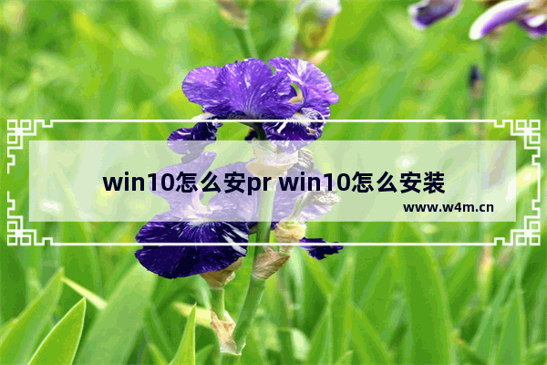 win10怎么安pr win10怎么安装apk软件