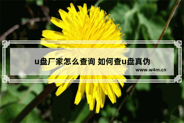 u盘厂家怎么查询 如何查u盘真伪