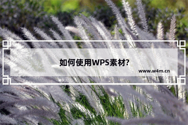 如何使用WPS素材?