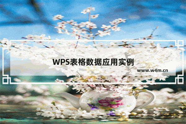 WPS表格数据应用实例