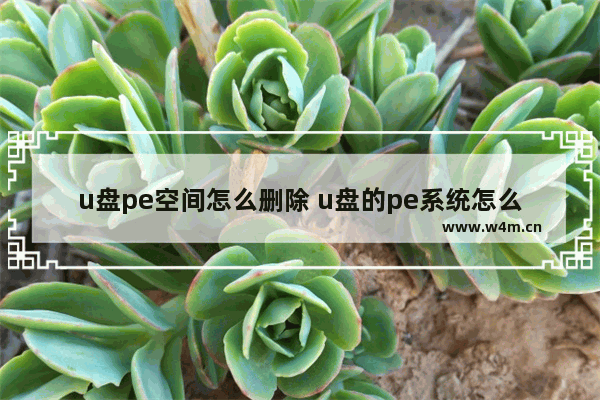 u盘pe空间怎么删除 u盘的pe系统怎么删除