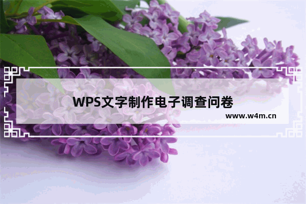 WPS文字制作电子调查问卷