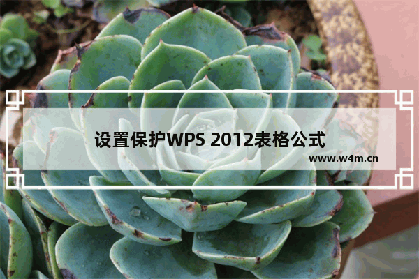 设置保护WPS 2012表格公式