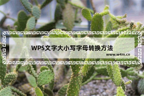 WPS文字大小写字母转换方法