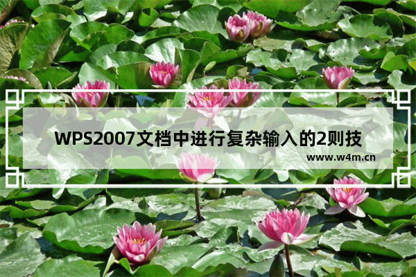 WPS2007文档中进行复杂输入的2则技巧