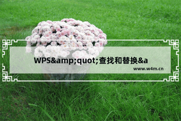 WPS&quot;查找和替换&quot;功能提高工作效率