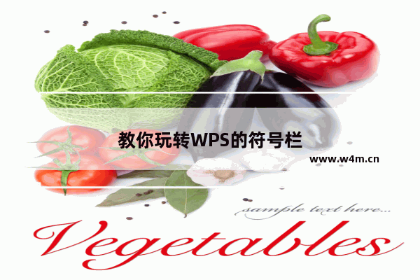 教你玩转WPS的符号栏