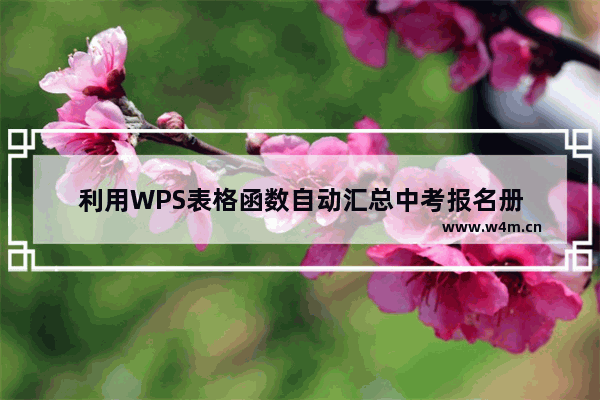 利用WPS表格函数自动汇总中考报名册