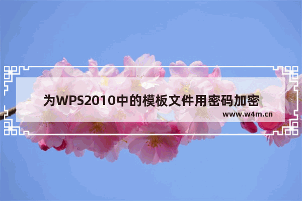 为WPS2010中的模板文件用密码加密