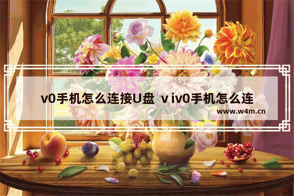 v0手机怎么连接U盘 ⅴiv0手机怎么连接u盘