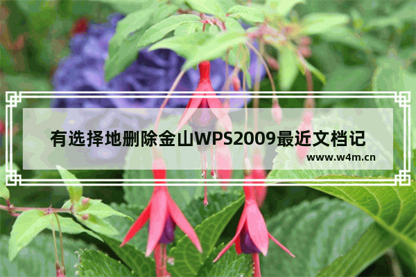 有选择地删除金山WPS2009最近文档记录