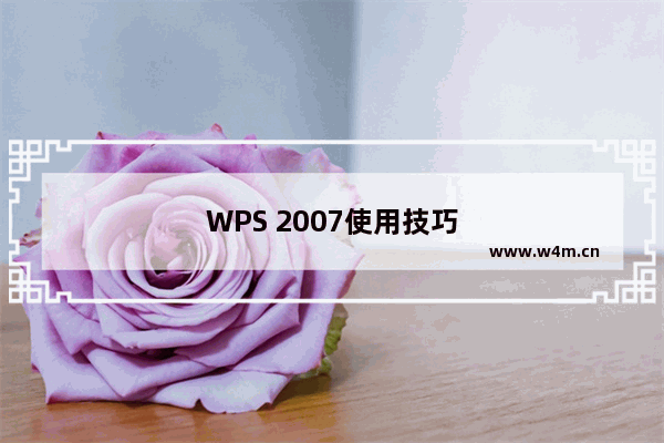 WPS 2007使用技巧