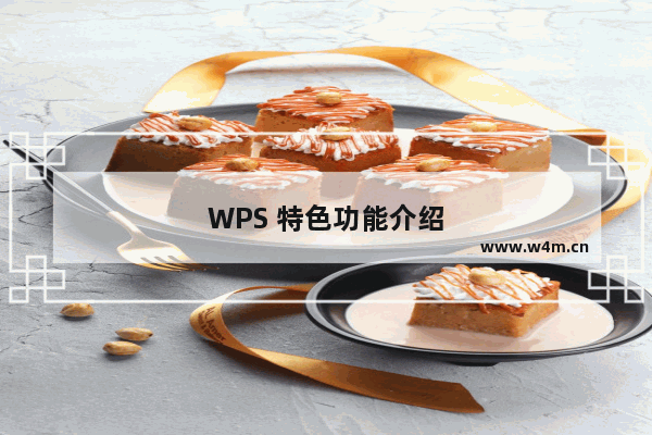 WPS 特色功能介绍