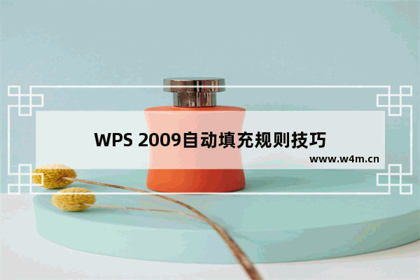 WPS 2009自动填充规则技巧