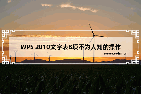 WPS 2010文字表8项不为人知的操作