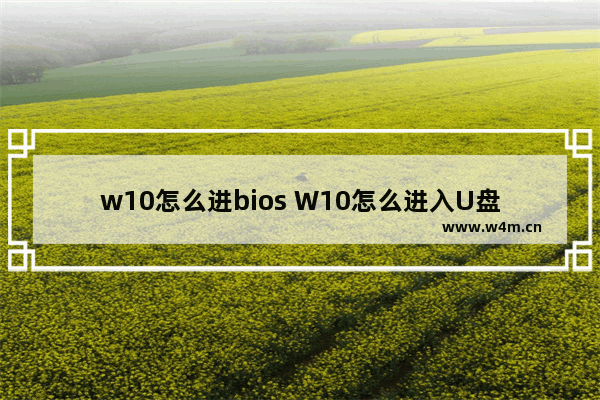 w10怎么进bios W10怎么进入U盘启动