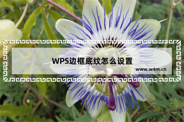 WPS边框底纹怎么设置