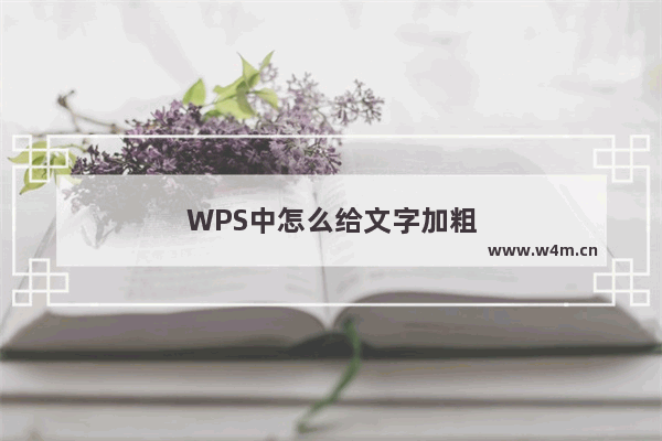 WPS中怎么给文字加粗