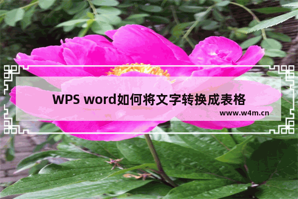 WPS word如何将文字转换成表格