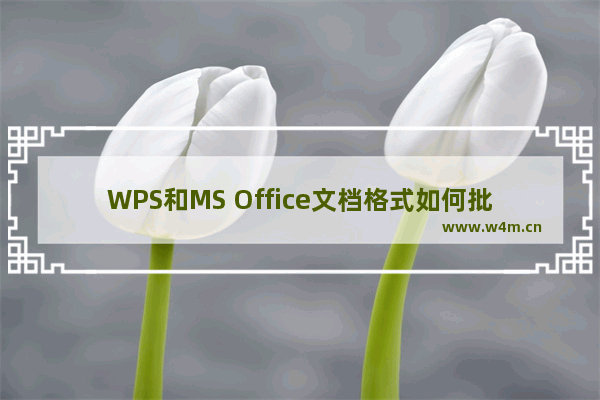 WPS和MS Office文档格式如何批量转换