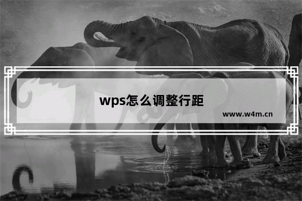 wps怎么调整行距