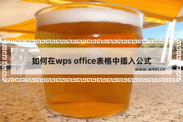 如何在wps office表格中插入公式？