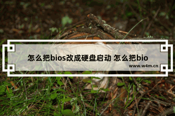 怎么把bios改成硬盘启动 怎么把bios改成硬盘启动模式