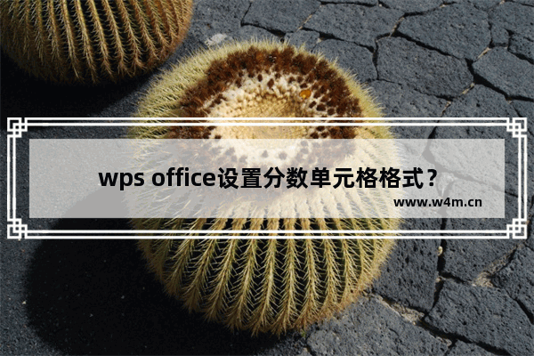 wps office设置分数单元格格式？