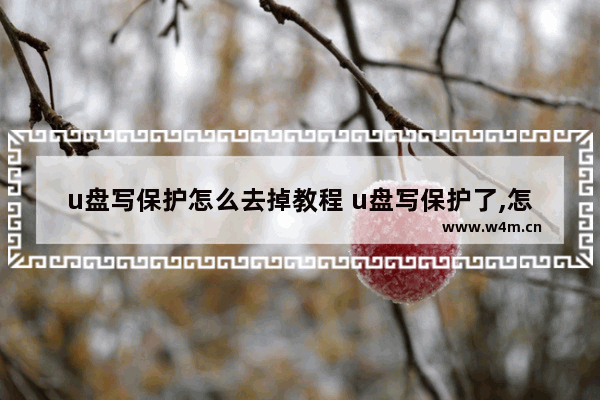 u盘写保护怎么去掉教程 u盘写保护了,怎么去掉