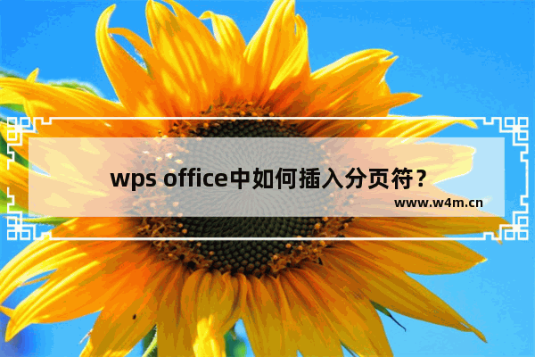 wps office中如何插入分页符？