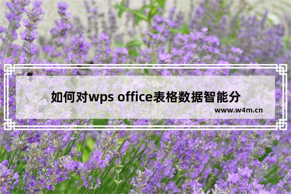 如何对wps office表格数据智能分列？