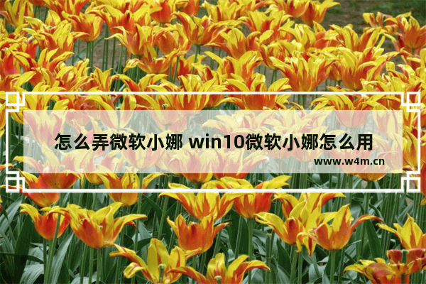 怎么弄微软小娜 win10微软小娜怎么用