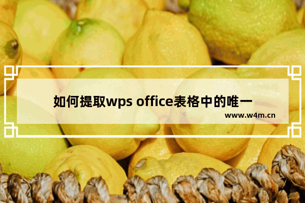 如何提取wps office表格中的唯一数据